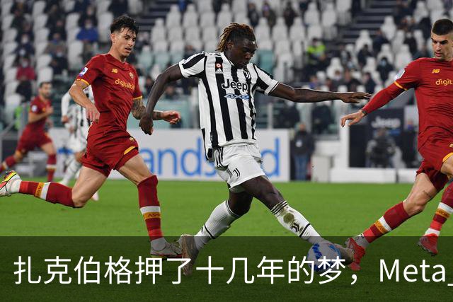 扎克伯格押了十几年的梦，Meta Muse 12天就登顶：AI替你把价比完、把单下完，广告还卖给谁